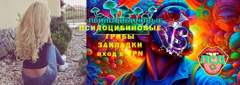 как найти закладки  Ялуторовск  Галлюциногенные грибы Psilocybe 